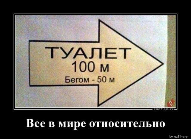������������ ������������ (15 ����)
