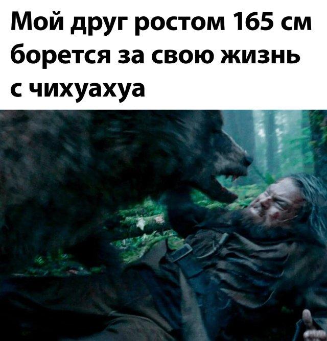 ������� ����� � �������� �� ���� (30 ����)