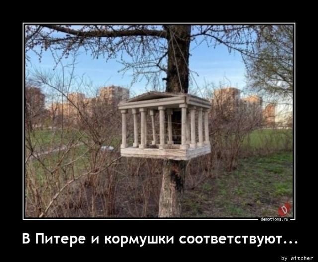 Демотиваторы среды (20 фото)
