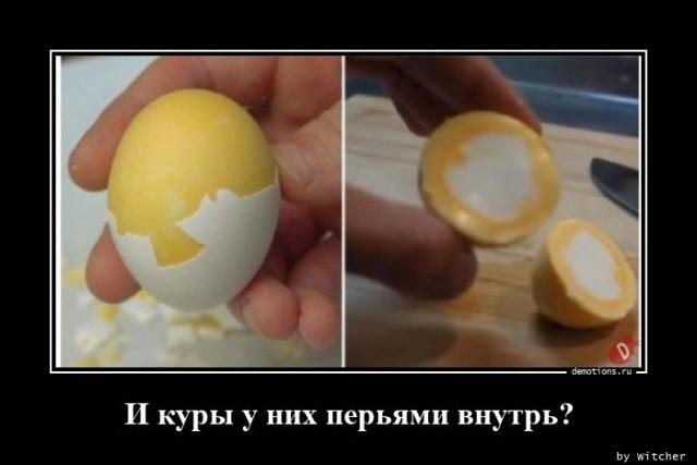������������ �������� (15 ����)