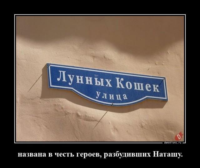 ������������ �������� (15 ����)