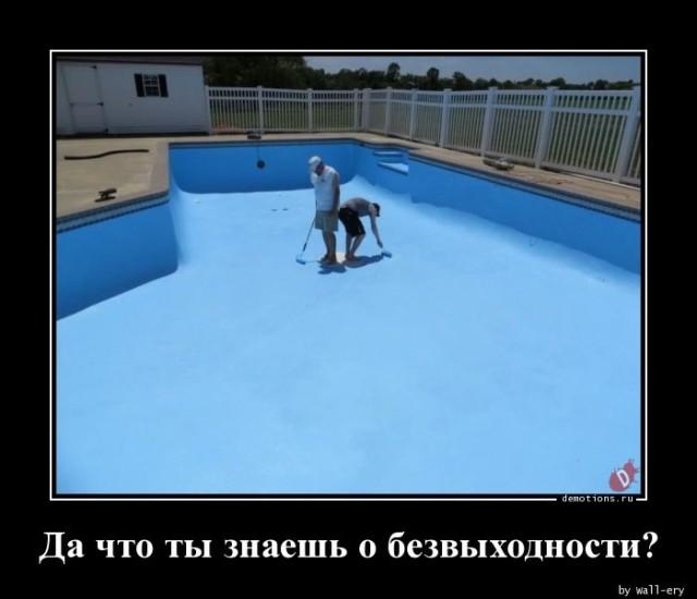 ������������ �������� (15 ����)