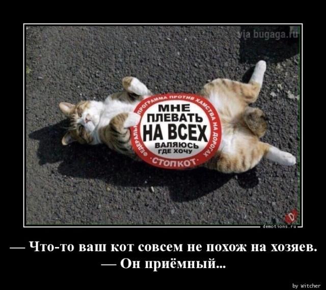 Демотиваторы среды (17 фото)