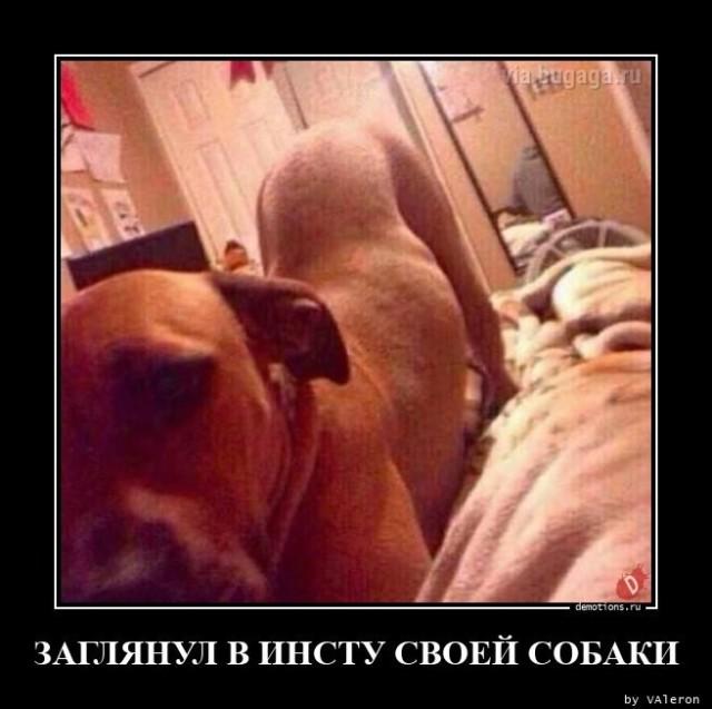 Демотиваторы среды (17 фото)