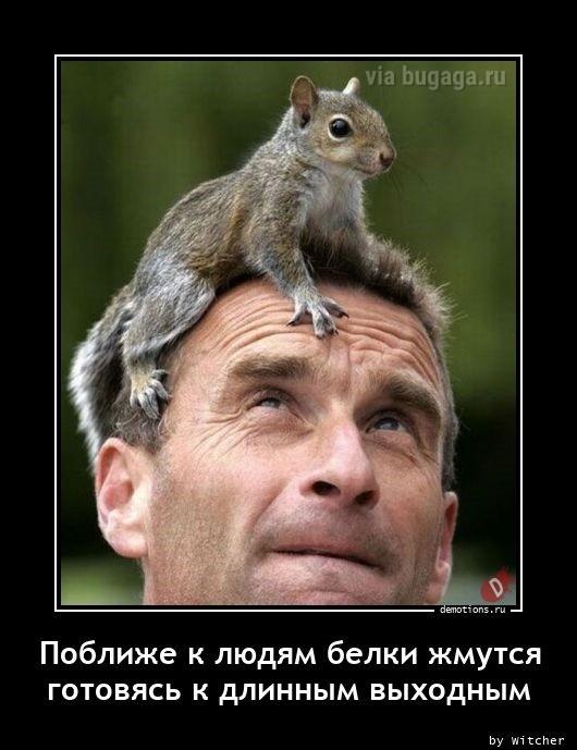 Демотиваторы среды (17 фото)