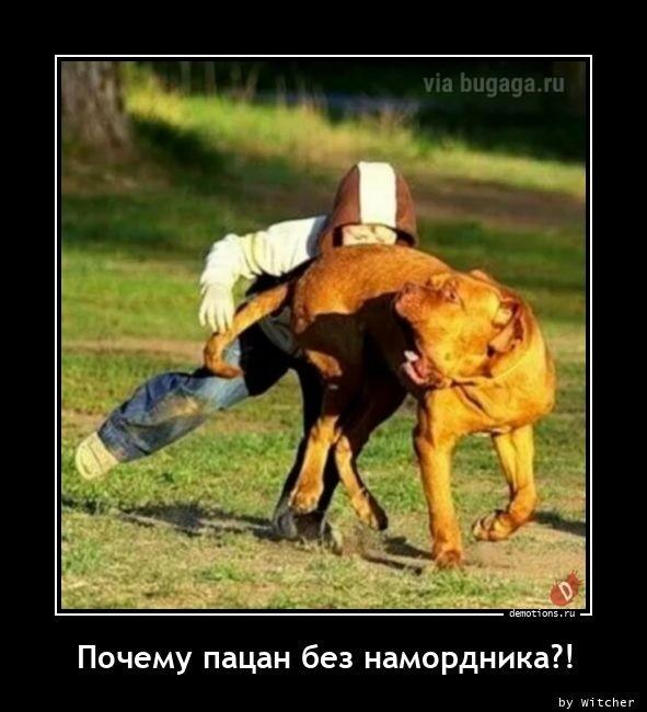 Демотиваторы среды (17 фото)