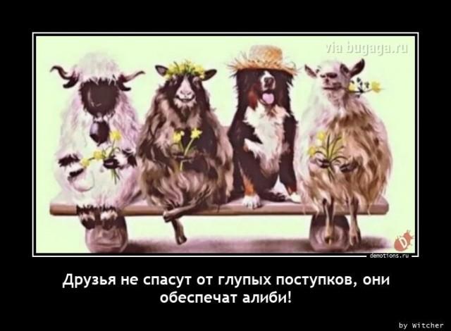 Демотиваторы среды (17 фото)