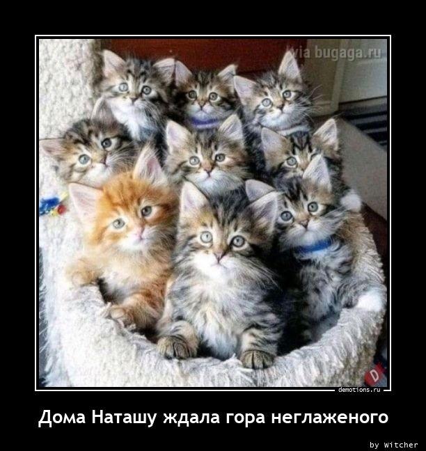 Демотиваторы среды (17 фото)