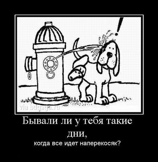 Демотиваторы четверга (15 фото)