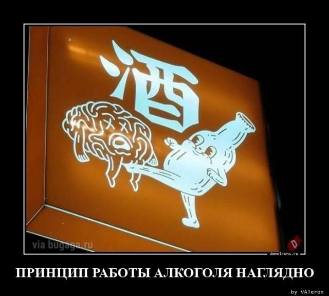 Демотиваторы четверга (15 фото)