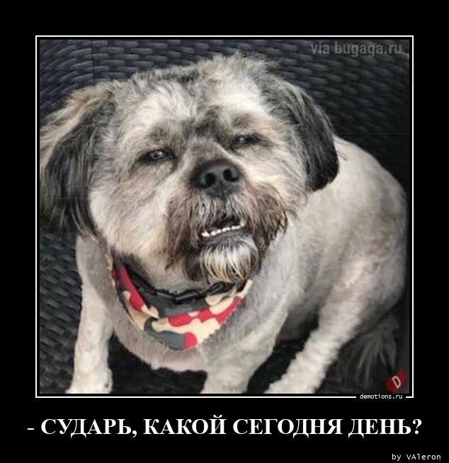 Демотиваторы четверга (15 фото)