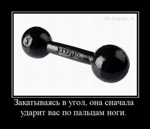 Демотиваторы четверга (15 фото)