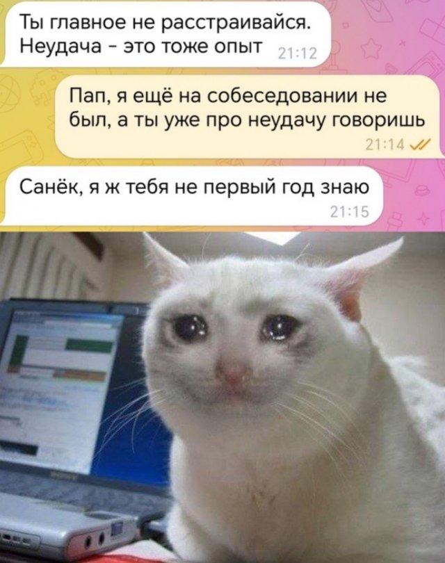 Ассорти приколов из сети (15 фото)