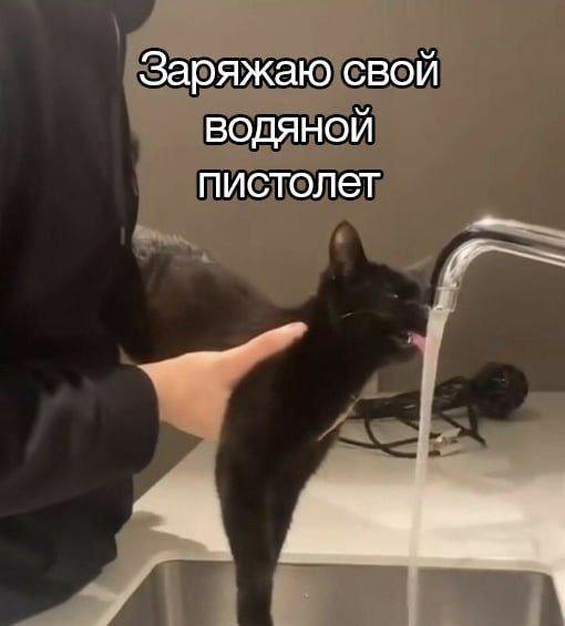 Ассорти приколов из сети (15 фото)