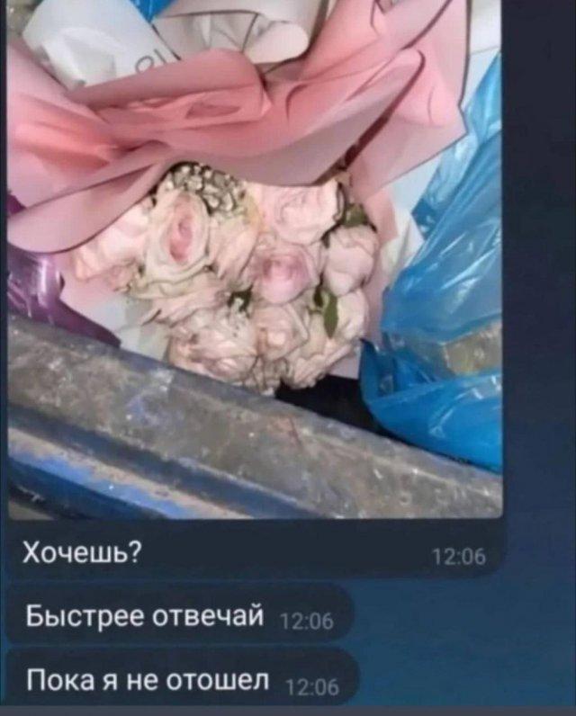 Ассорти приколов из сети (15 фото)