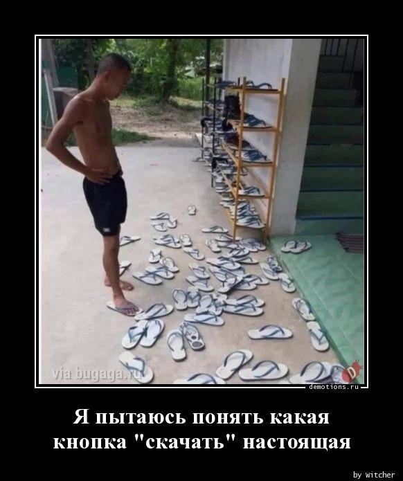 Демотиваторы пятницы (16 фото)