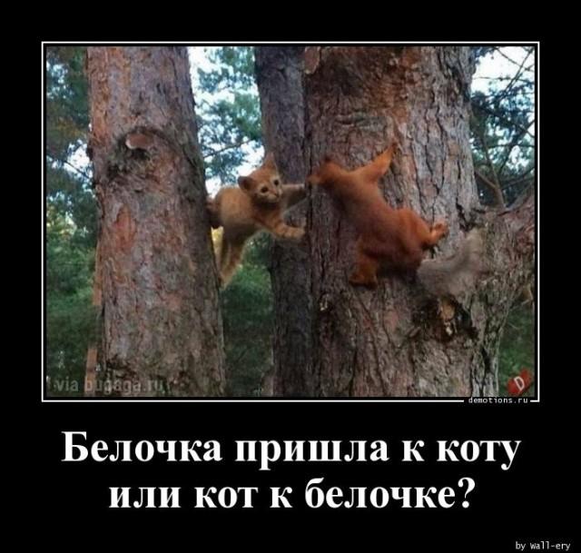 Демотиваторы пятницы (16 фото)