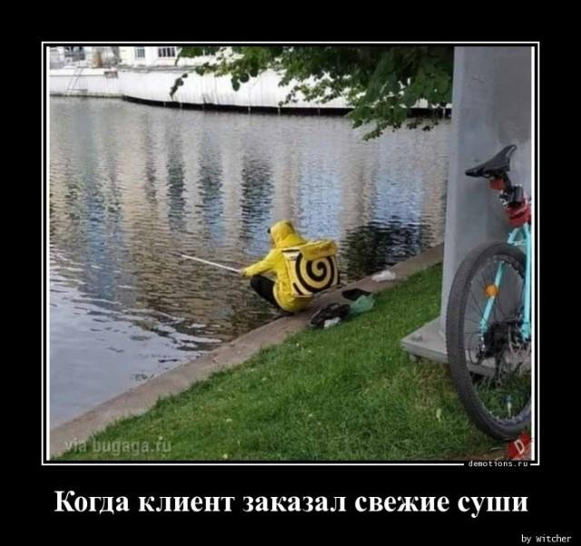 Демотиваторы пятницы (16 фото)