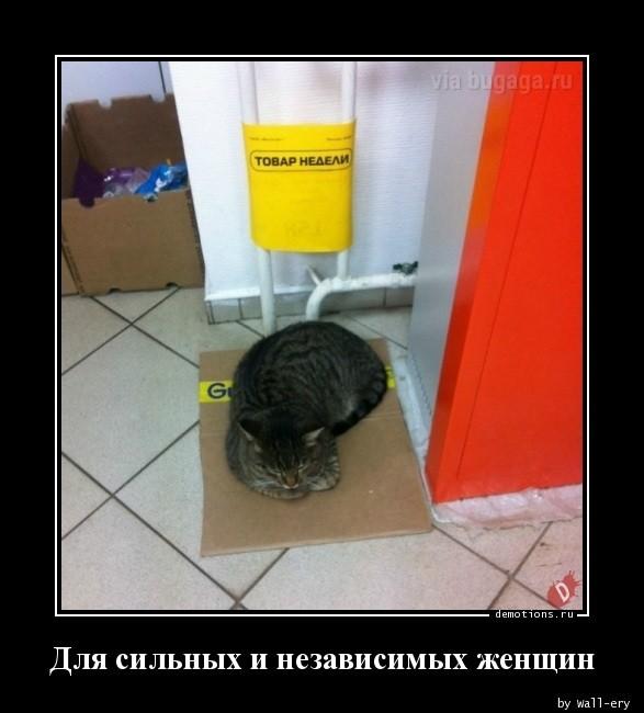Демотиваторы вторника (15 фото)
