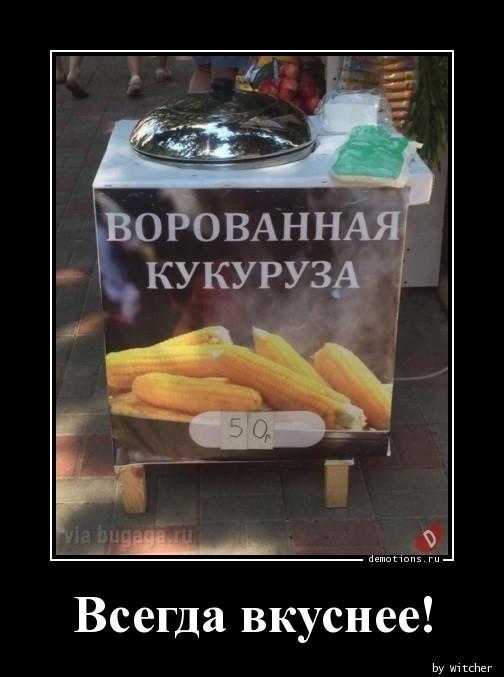 Демотиваторы вторника (15 фото)