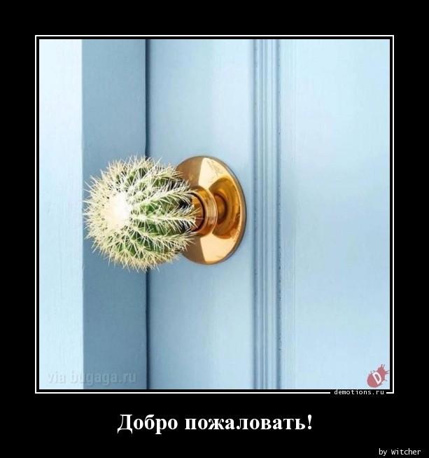 Демотиваторы вторника (15 фото)
