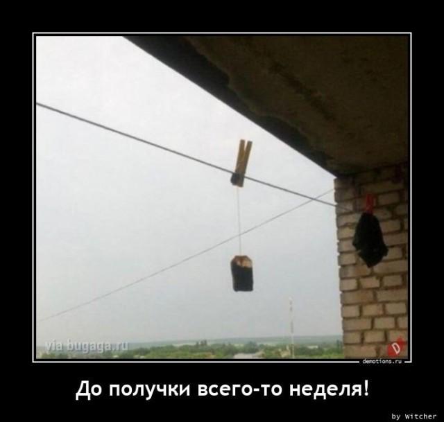 Демотиваторы вторника (15 фото)