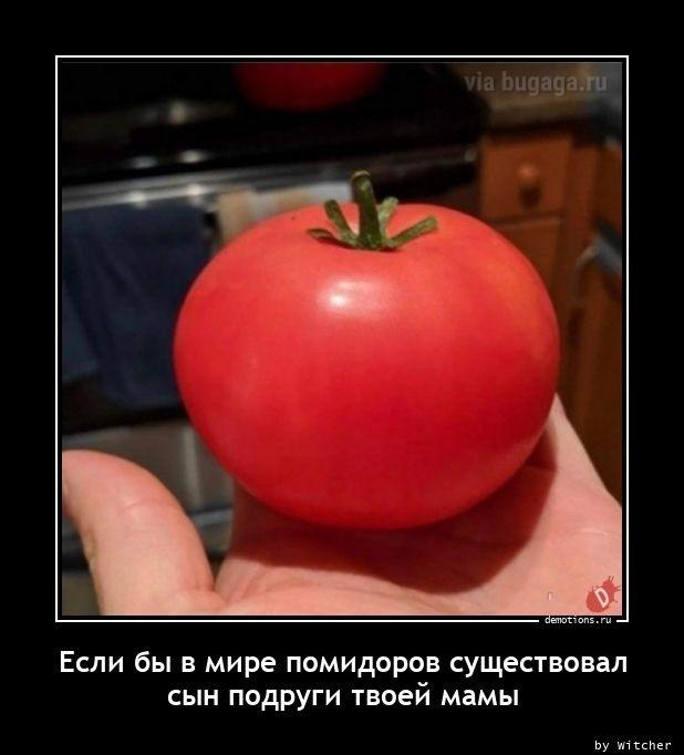 Демотиваторы вторника (15 фото)