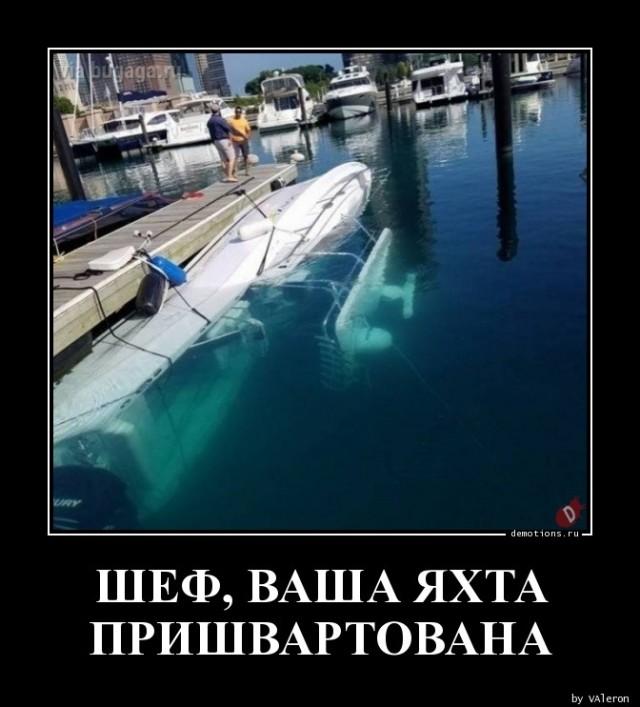 Демотиваторы вторника (15 фото)