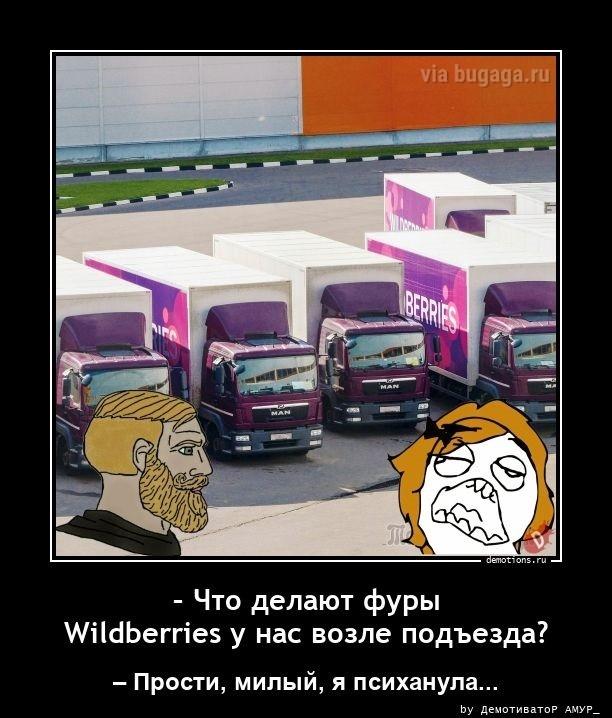 ������������ ������������ (15 ����)