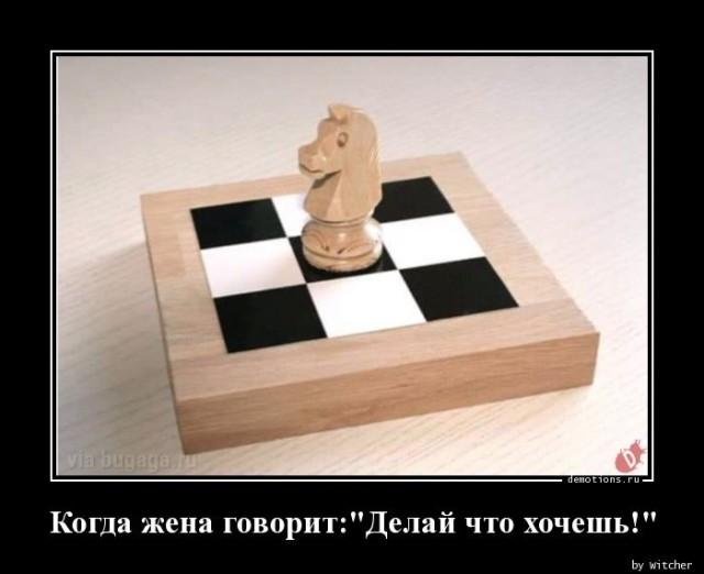 ������������ ������������ (15 ����)
