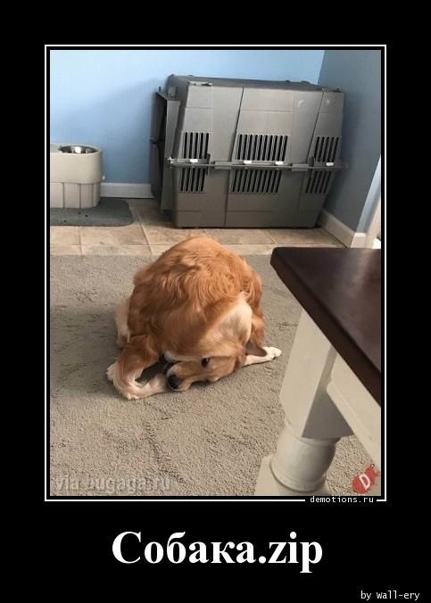 ������������ ������������ (15 ����)