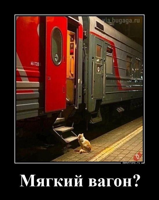 ������������ ������������ (15 ����)