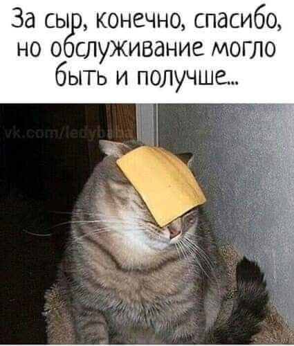 Свежие приколы и мемы (30 фото)