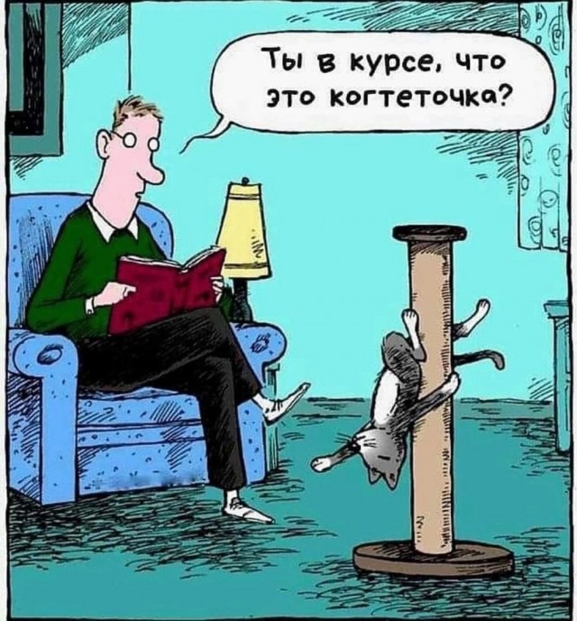 Свежие приколы и мемы (30 фото)