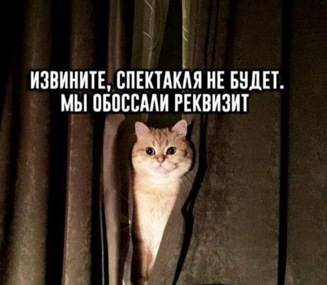 Свежие приколы и мемы (30 фото)