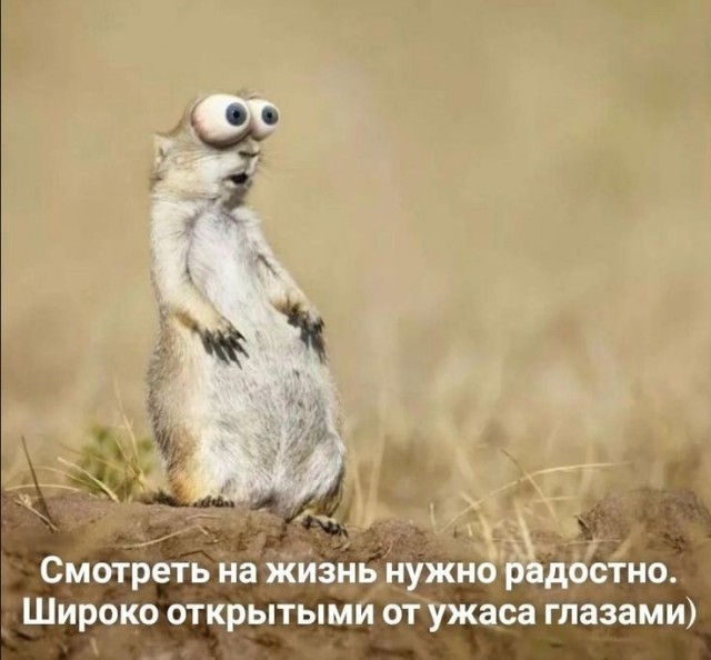 Свежие приколы и мемы (30 фото)