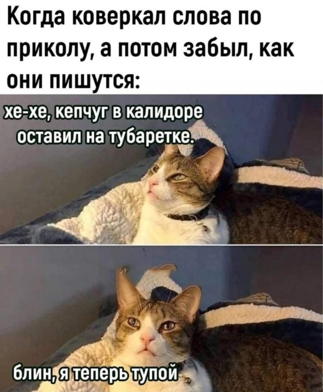 Свежие приколы и мемы (30 фото)