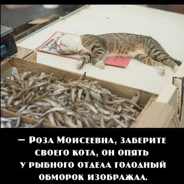 Свежие приколы и мемы (30 фото)