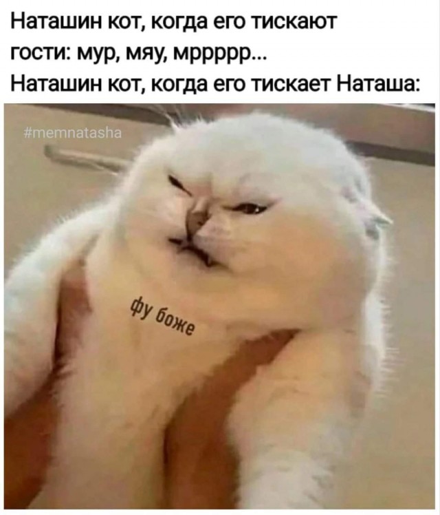 Свежие приколы и мемы (30 фото)