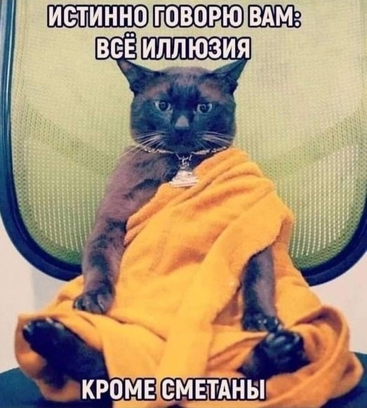 Свежие приколы и мемы (30 фото)