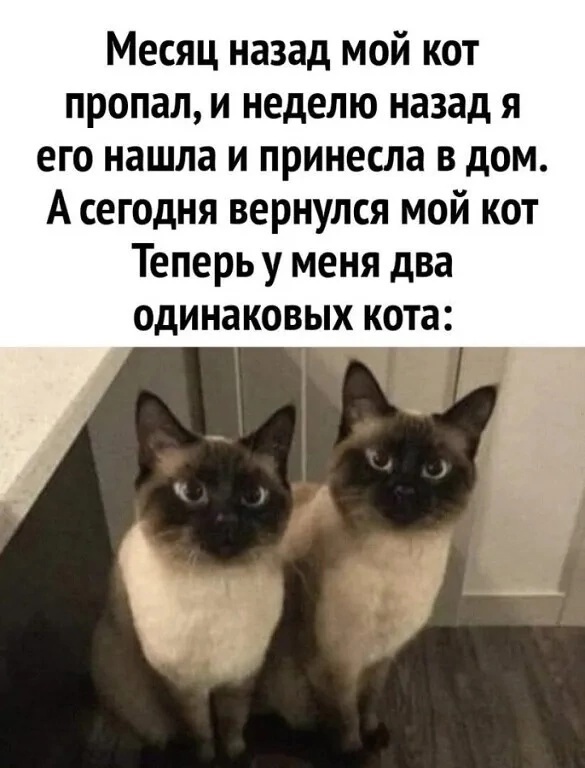 Свежие приколы и мемы (30 фото)