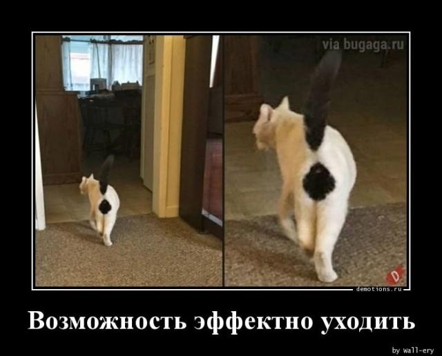 ������������ �������� (15 ����)