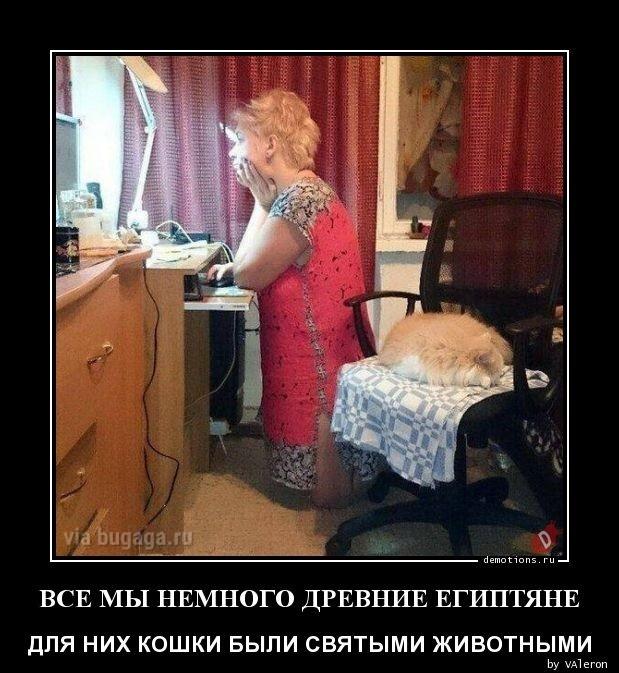 ������������ �������� (15 ����)
