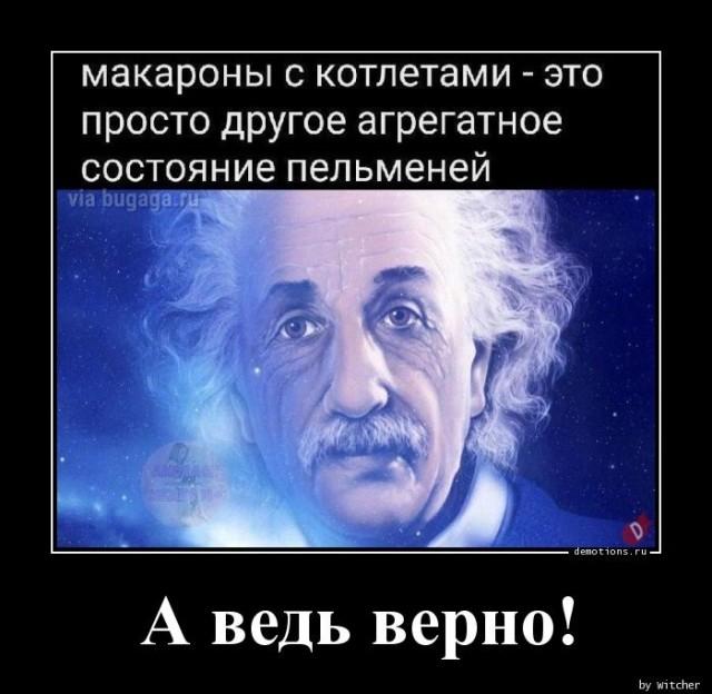 ������������ �������� (15 ����)