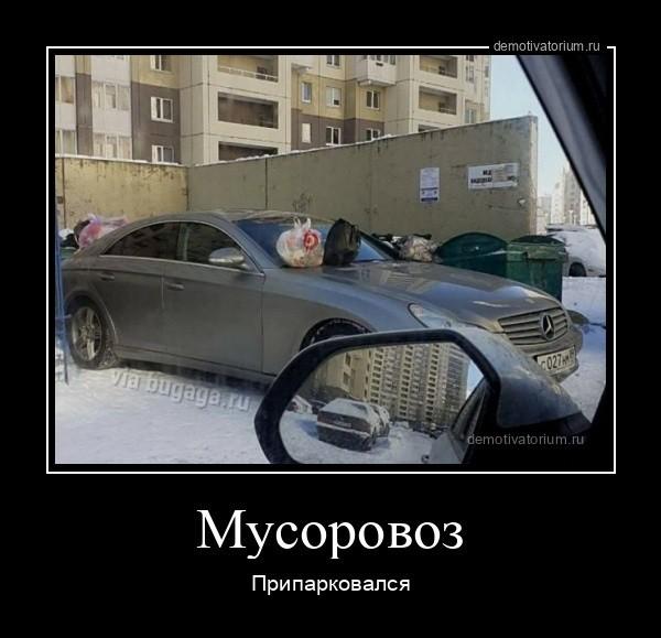 ������������ �������� (15 ����)