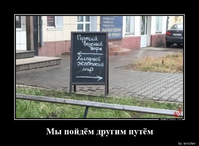 ������������ �������� (15 ����)