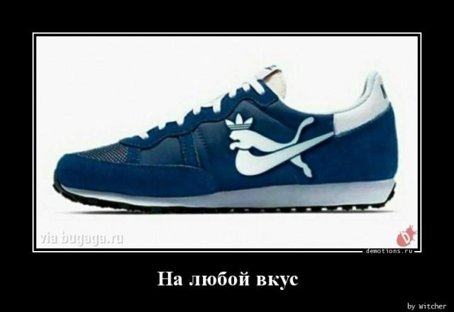 ������������ �������� (15 ����)
