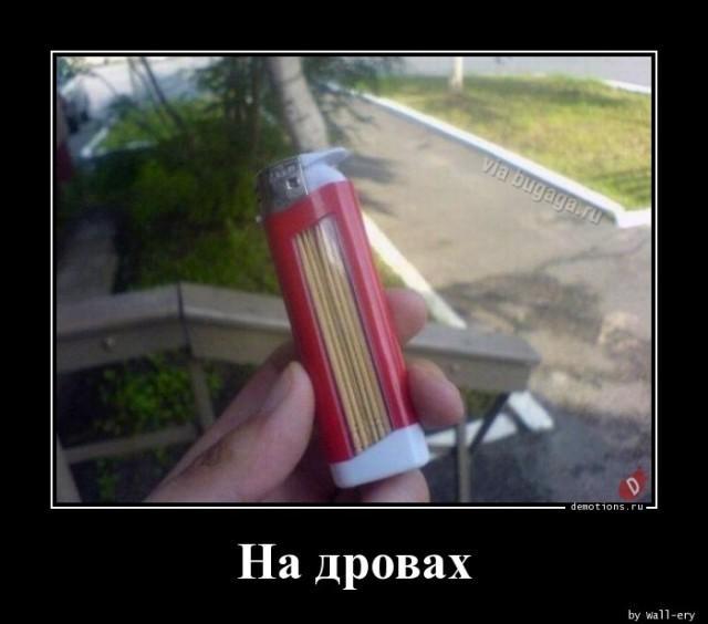 ������������ �������� (15 ����)