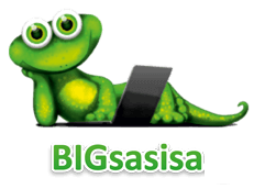 bigsasisa