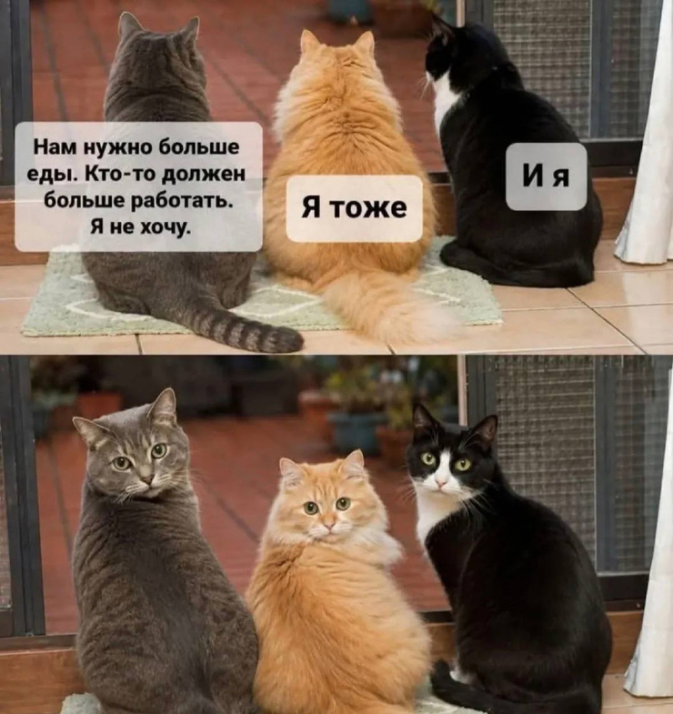 ������� ����� �������� � ����� �� ���� (30 ����)